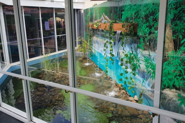 AQUASCAPING Canberra Aquarium Maintenance