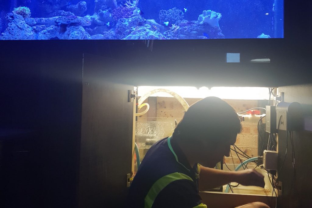 AQUASCAPING Canberra Aquarium Maintenance