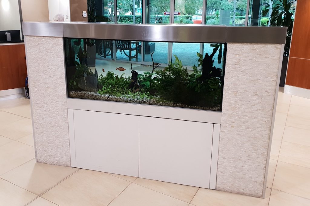 AQUARIUM RENTALS Canberra Aquarium Maintenance