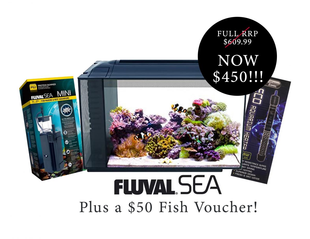 Fluval Evo Marine Package - Canberra Aquarium